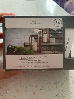 Threshold Brown Lantern LED String Lights - 50 Warm Lights